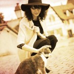 Love Cats