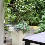 Mon shooting ELLE Passions – part 1