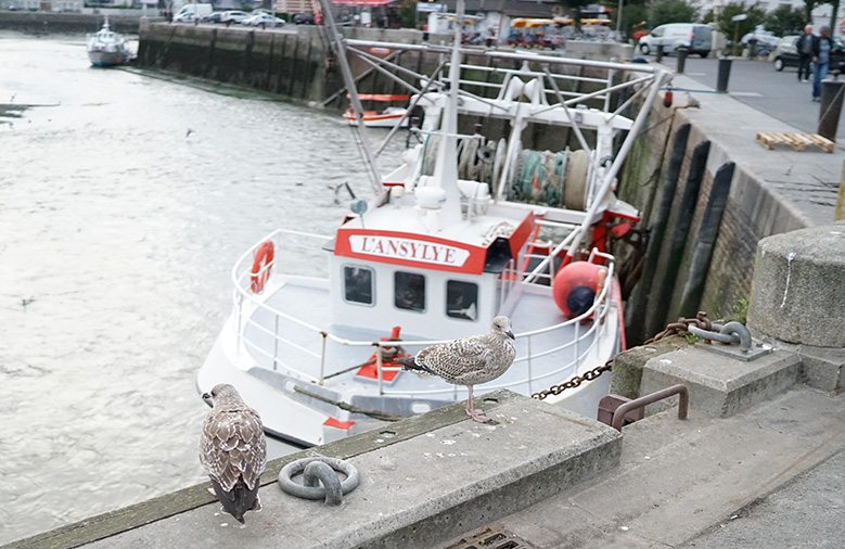 trouville-port